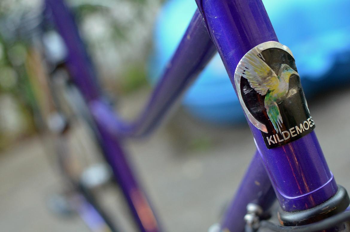 Kildemoes Fanti billede 15