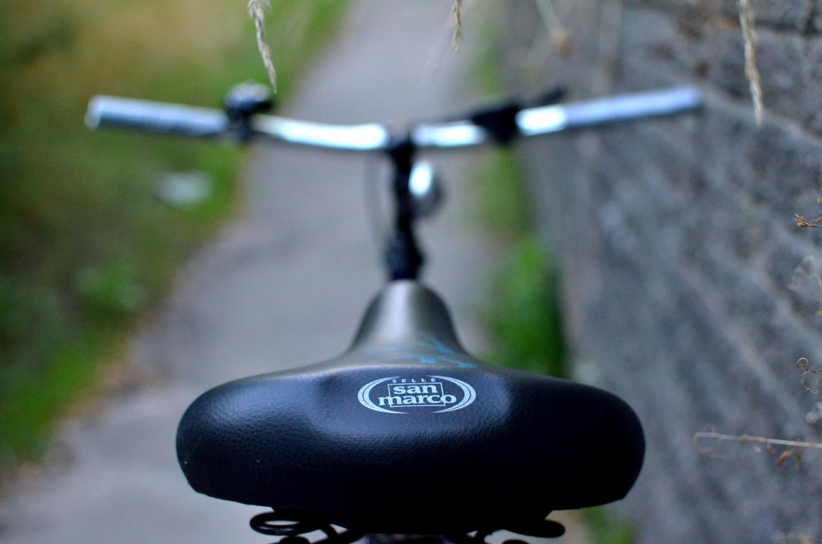 Kildemoes Fanti billede 6