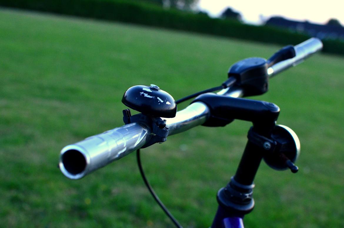 Kildemoes Fanti billede 5