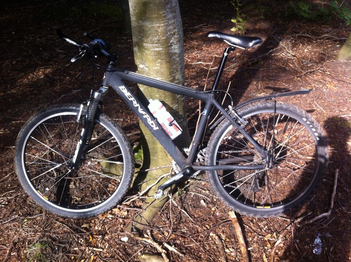 Bernardi Mtb billede 1