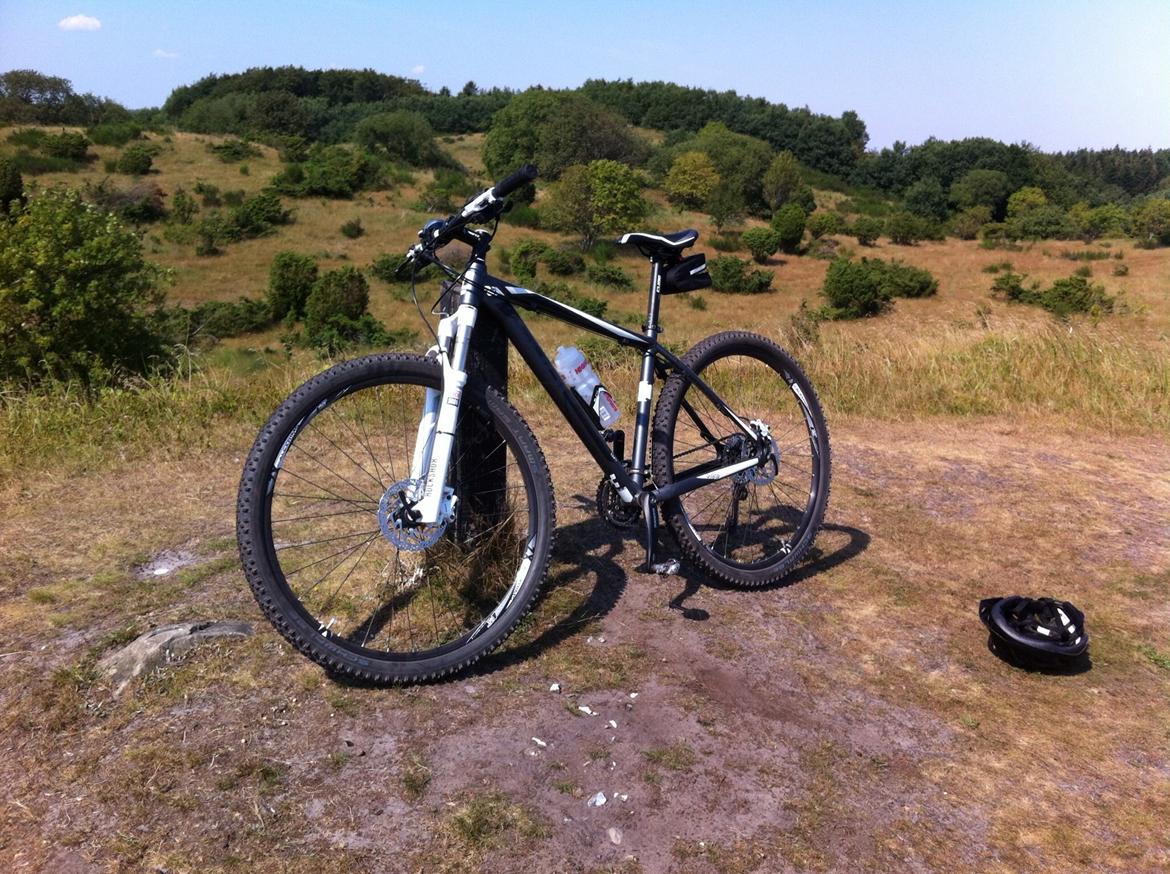 19.5 mountain bike size