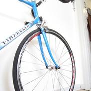 Pinarello Treviso