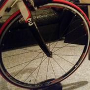 Focus Cayo Tiagra LTD
