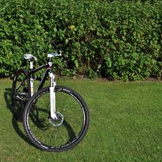 Bottecchia RSG 29"