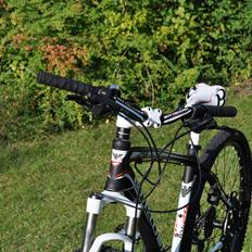 Bottecchia RSG 29"