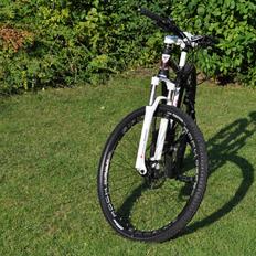 Bottecchia RSG 29"
