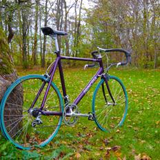 Principia Sc 650 fra 1998