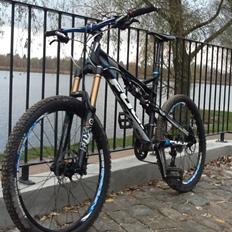 Fuji Reveal 1.5 D 2013