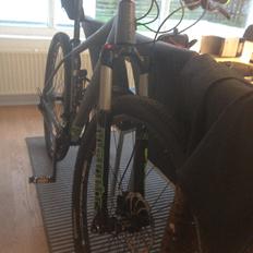 Focus Black Forest 29R 3.0