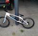 SE Racing Bikes PK RIPPER Elite XL 2013