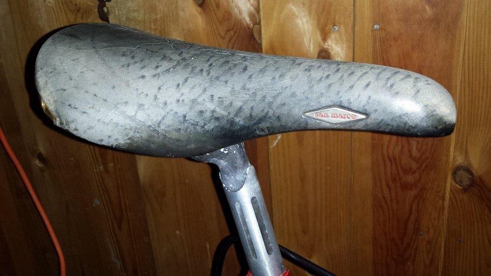 Olmo Klassisk stål racer billede 5