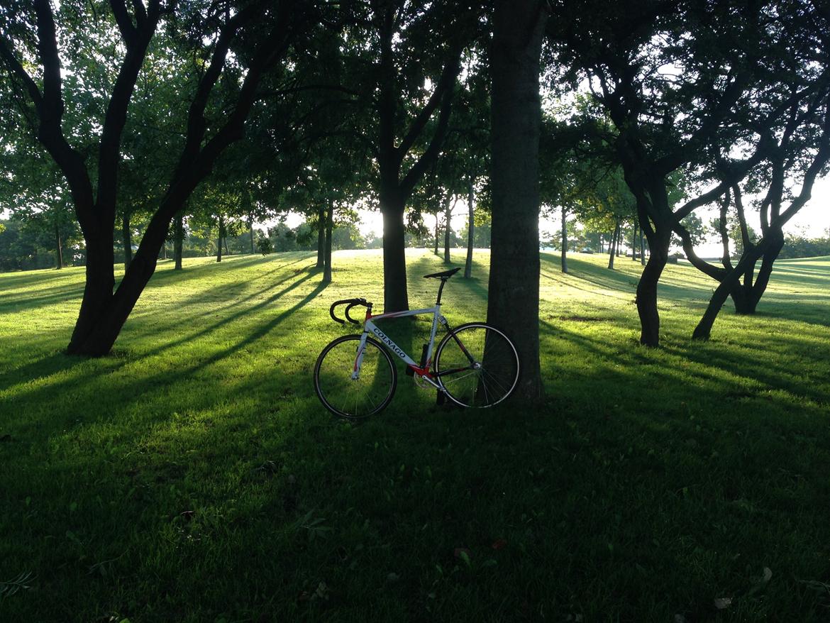 Colnago Dream Pista billede 9