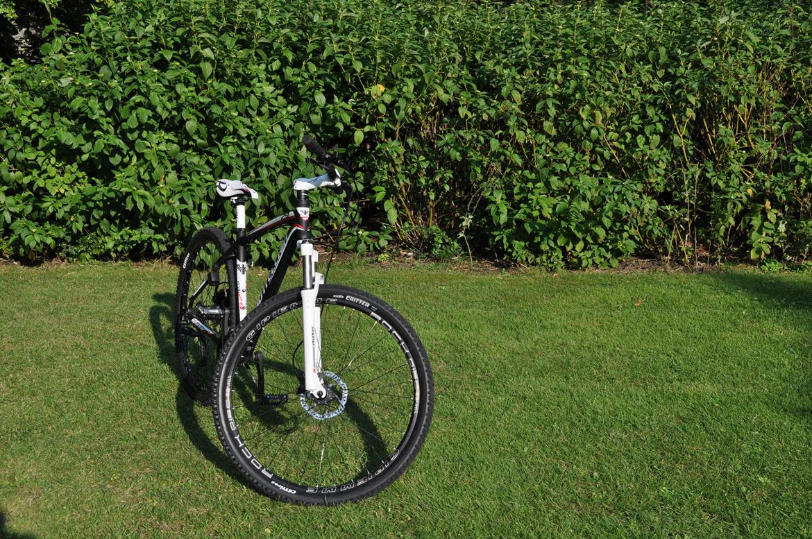 Bottecchia RSG 29" billede 1