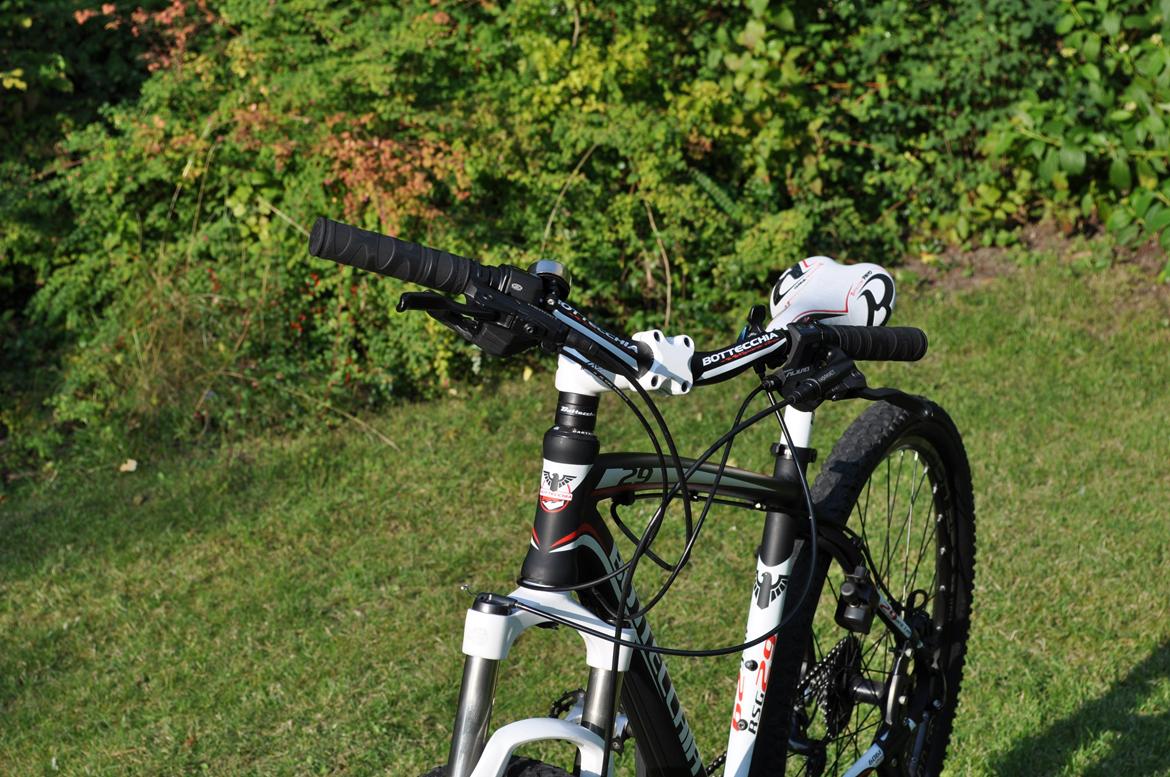 Bottecchia RSG 29" billede 3