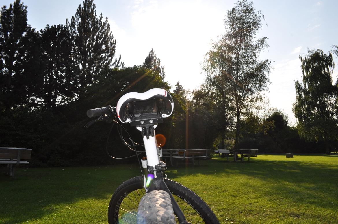 Bottecchia RSG 29" billede 6