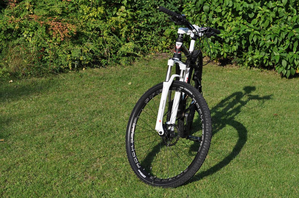 Bottecchia RSG 29" billede 2