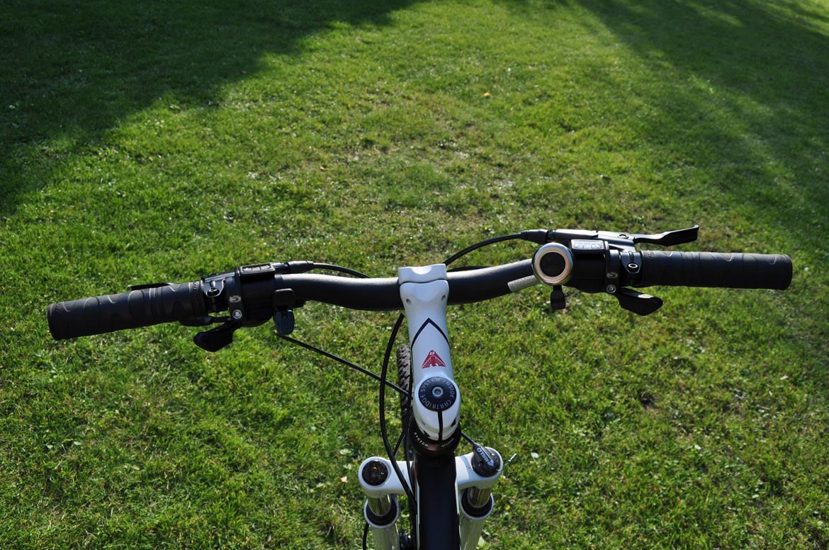 Bottecchia RSG 29" billede 8