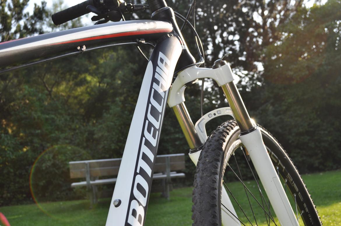 Bottecchia RSG 29" billede 14