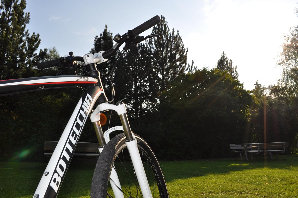 Bottecchia RSG 29" billede 15