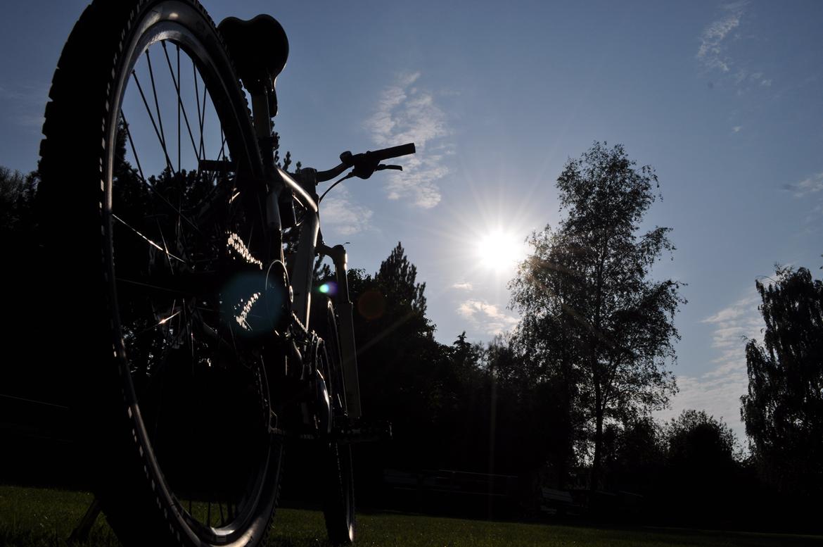 Bottecchia RSG 29" billede 17