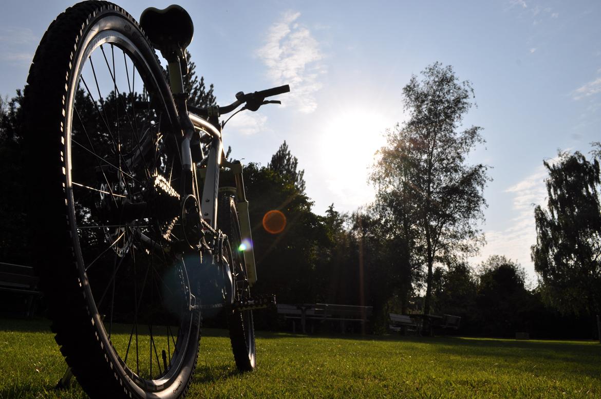 Bottecchia RSG 29" billede 18