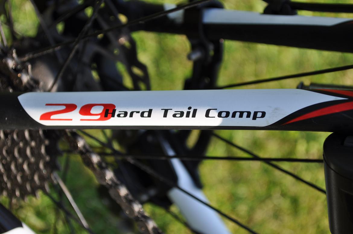 Bottecchia RSG 29" billede 20