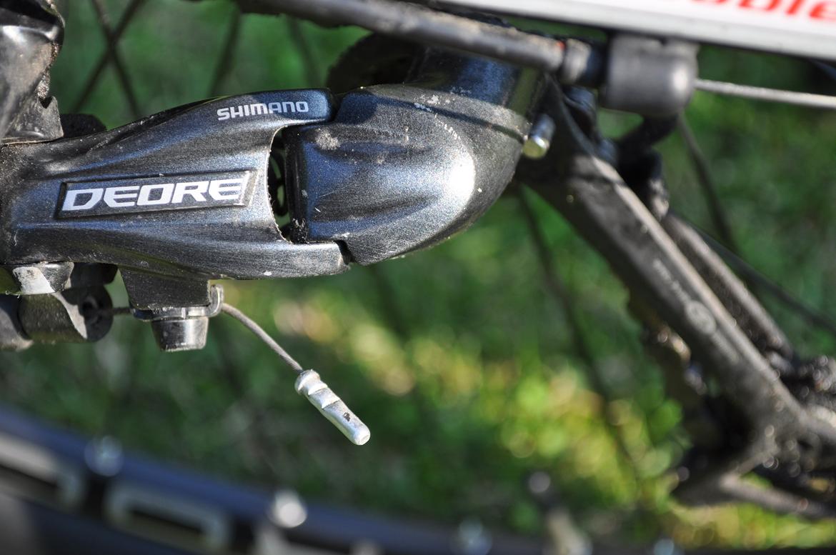 Bottecchia RSG 29" billede 24