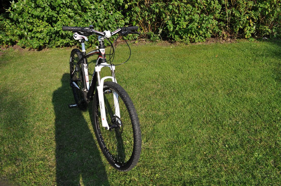 Bottecchia RSG 29" billede 27