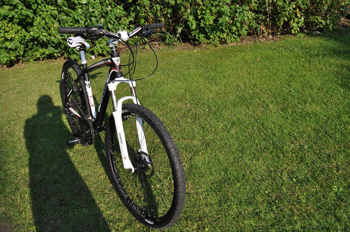 Bottecchia RSG 29" billede 28