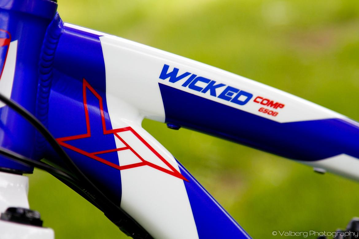 YT-industries Wicked Comp 650b billede 17