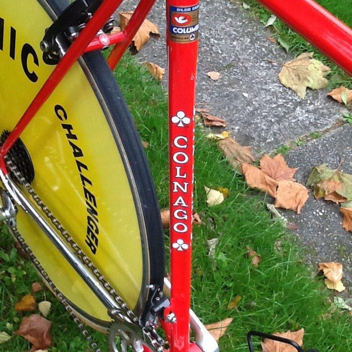 Colnago Master billede 10