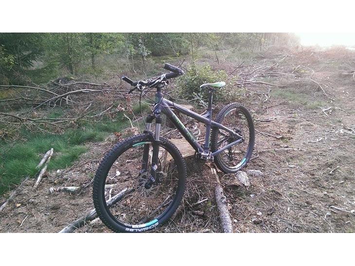 {{currentPhoto.altText}} billede {{currentPhoto.number}}