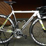 Cannondale caad10