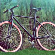 No-Name Fixie
