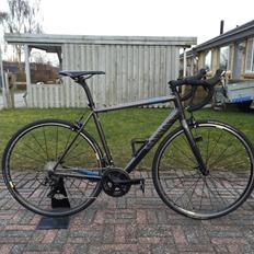 Canyon Endurace AL 6.0