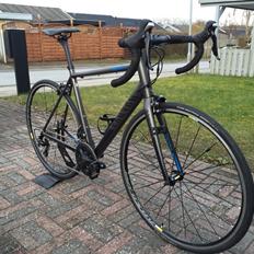 Canyon Endurace AL 6.0