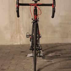 Wilier Izoard XP