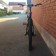 Bianchi Bianchi Kuma 4600