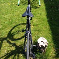 Cannondale SuperSix EVO Hi-Mod Di2
