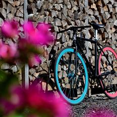No-Name Fixie