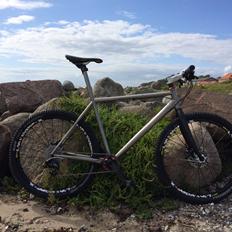 Spectre MTB Titanium by Henrik Djernis