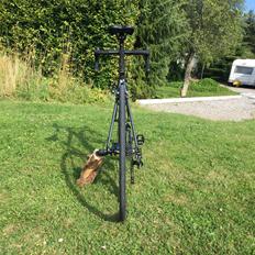 Canyon Endurace AL 6.0