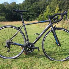 Canyon Endurace AL 6.0