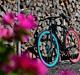 No-Name Fixie