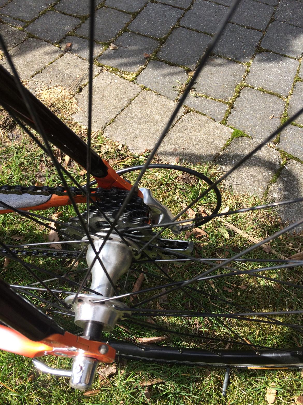 Pinarello Prince solgt. billede 11