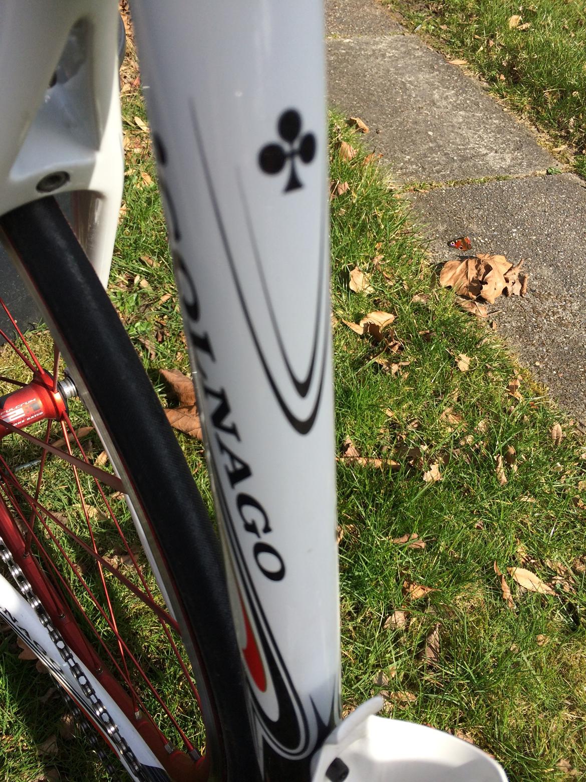 Colnago EPS billede 36