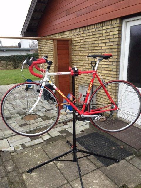 Giant Team billede 1