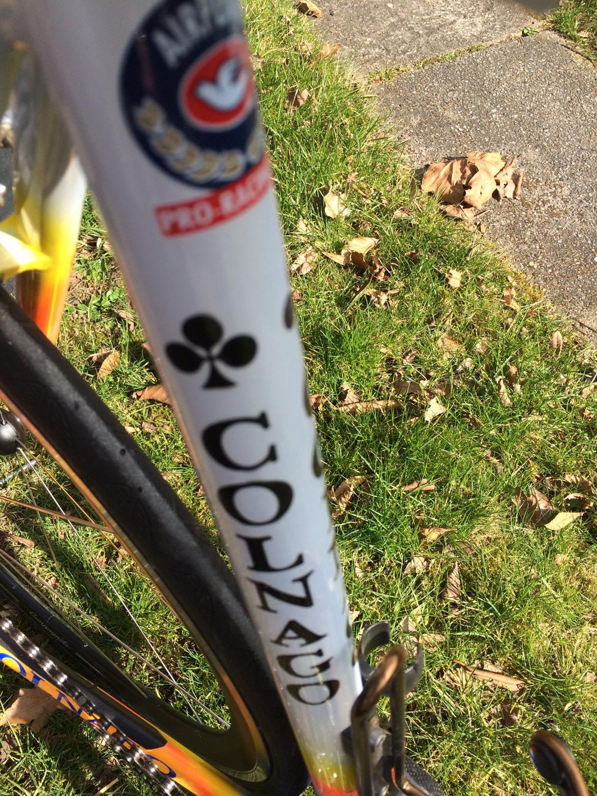 Colnago Rabobank Dream  billede 6