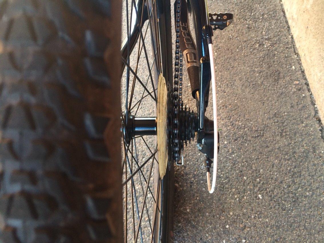 Bianchi Bianchi Kuma 4600 billede 4