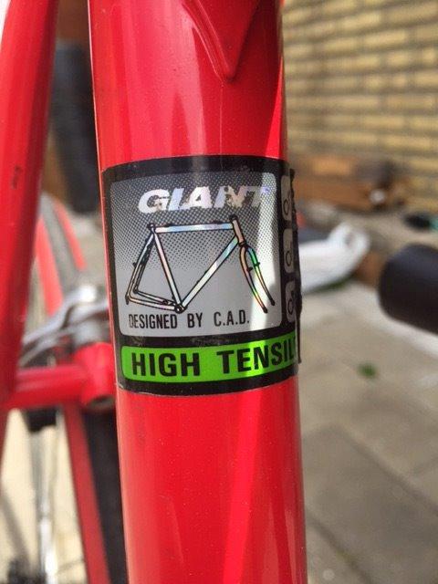 Giant Team billede 9